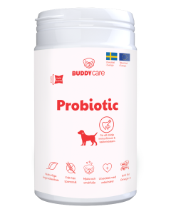 Buddy Probiotic Kosttilskudd for hund