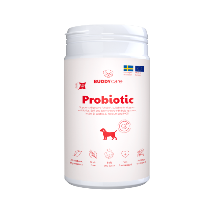 Buddy Probiotic Kosttilskudd for hund