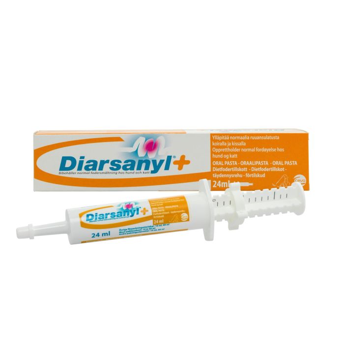 Diarsanyl+ pasta 24ml