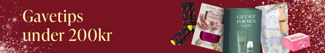 gavetips under 200kr